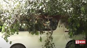 මහනුවර – දිගන මාර්ගයට ගසක් කඩා වැටෙයි