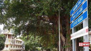 වගාවට හානි කරන රිලවුන් පන්නන්න නව උපකරණයක්