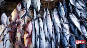 පෑලියගොඩ මාළු මිල මෙන්න