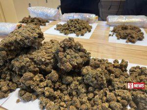 කුෂ් සමග මත්ද්රව්ය ජාවාරම්කරුවෙකු අත්අඩංගුවට