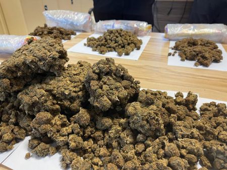 කුෂ් සමග මත්ද්රව්ය ජාවාරම්කරුවෙකු අත්අඩංගුවට