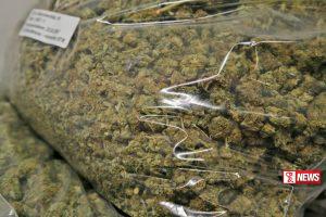 කෝටි 4ක කේරල ගංජා තොගයක් යාපනයෙන් සොයාගැනේ