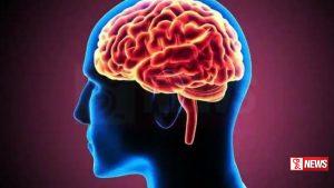 ලෝක මස්තිෂ්ක දිනය අද