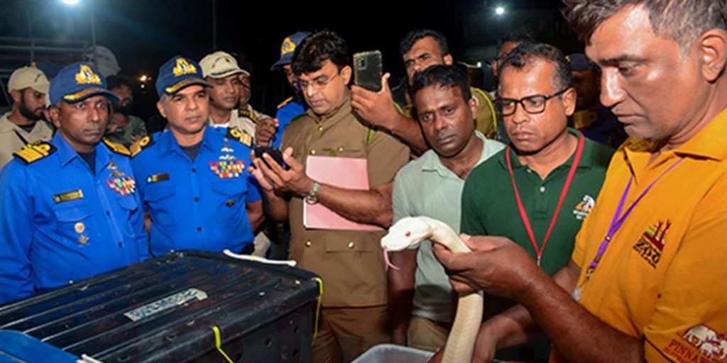 හොර පාරෙන් රට යන සත්තු