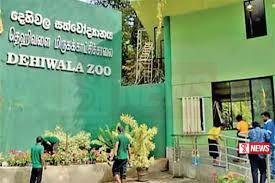 දරුවන්ට අද දෙහිවල සත්වෝද්යානය නොමිලේ නැරඹීමට අවස්ථාවක්