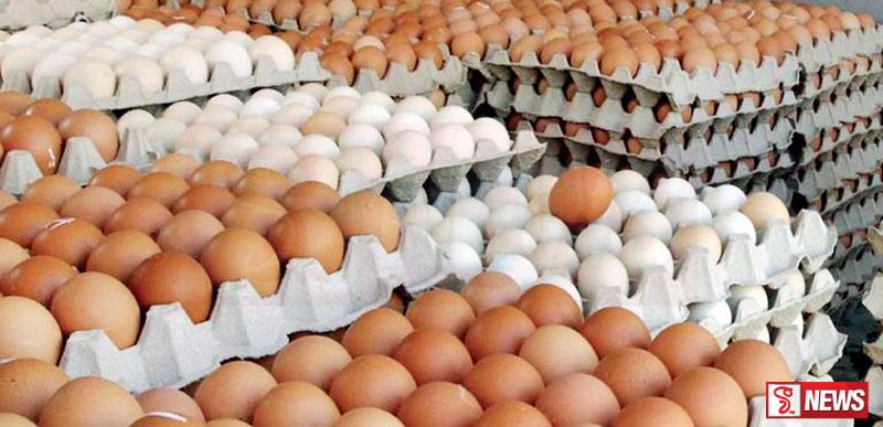 බිත්තර වලටත් V A T