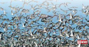 බෙරේ කුරුලු දූපත ජිනරතන භික්ෂු අභ්යාස විද්යාලයට