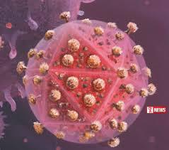 චන්දිපුර වෛරසයෙන් පුද්ගලයින් 32 මරුට