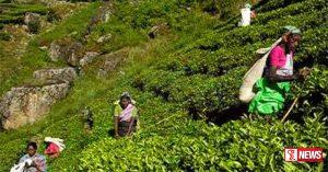 වතු කම්කරු වැටුප ඉහලට