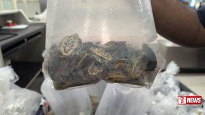 ජීවී මත්ස්යයින් සහ කැස්බෑවන් 365 දෙනෙකු සමග පුද්ගලයෙක් අත්අඩංගුවට