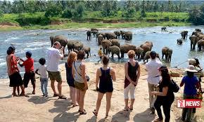 විදෙස් සංචාරකයින්ගේ පැමිණීම ඉහළට