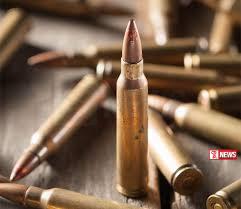 තරු පහේ හෝටලයක ජීව උණ්ඩ