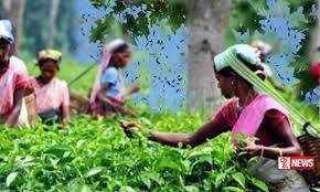 ශ්රී ලාංකිකයින් 175,163ක් රටින් පිටව ගොස් තිබෙනවා.