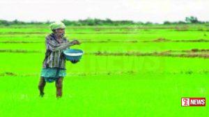 රාජ්ය පොහොර සමාගම වාර්තාගත ලාභයක් උපයයි