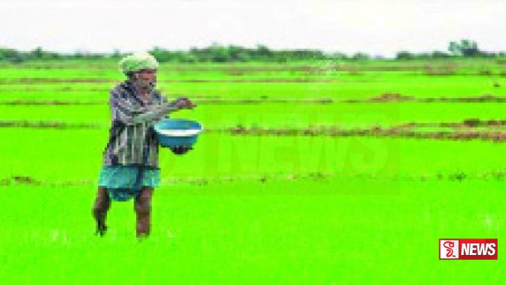 රාජ්ය පොහොර සමාගම වාර්තාගත ලාභයක් උපයයි