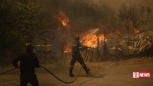 අප්රිකානු කලාපයේ මිලියන 68කට නියඟයෙන් පීඩා