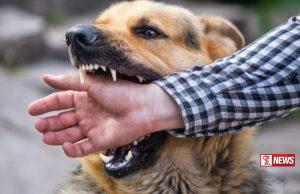 ජලභීතිකාව හේතුවෙන් පුද්ගලයින් 11 දෙනෙකු ජීවිතක්ෂයට