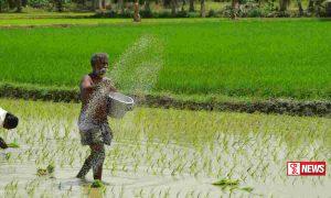 සහනාධාරය 25,000 දක්වා වැඩි කිරීමට කැබිනට් අනුමැතිය