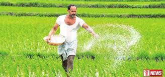 වැඩිකළ පොහොර සහනාධාරය ලබන සදුදා සිට