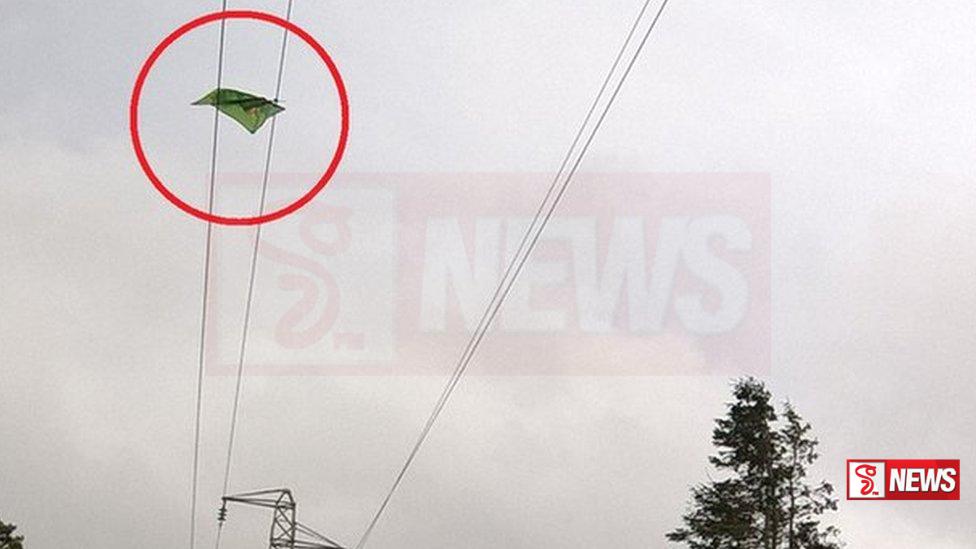 සරුංගලයක් නිසා පුංචි මල් කැකුළු දෙකකට අත් වූ ඉරණම