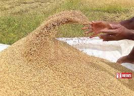 වී සදහා සහතික මිලක්