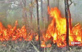 ඇල්ල රොක් රක්ෂිතයේ ගින්නක්