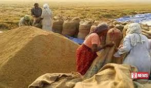 වී මිලදී ගැනීමට තොග ගබඩා විවෘත වෙයි