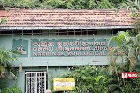 එක්සත් අරාබියෙන් සත්වෝද්යානයට සතුන් 10ක්