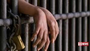 වාහන පැහැරගෙන යාමේ සිද්ධියකට සම්බන්ධ පිරිසක් අත්අඩංගුවට