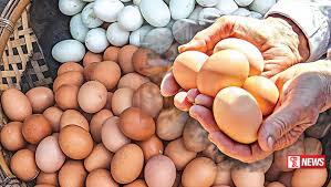 ඇමරිකාවේ බිත්තර හිඟයක්