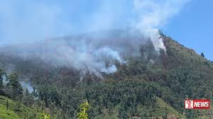 ගිනි පාලන සතියක් ප්රකාශයට පත් කරයි