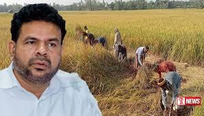 වී මිලදී ගන්න මහ භාණ්ඩාගාරයෙන් රුපියල් කෝටි 500ක්