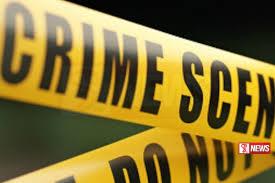 තියුණු ආයුධ ප්රහාරයකින් එකම පවුලේ සහෝදරයන් දෙදෙනෙකු මරුට