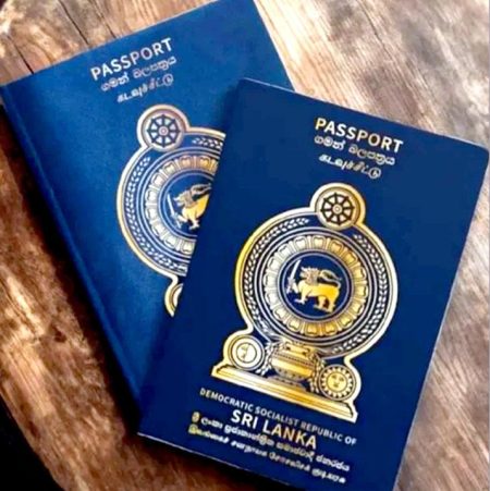 විද්යුත් විදේශ ගමන් බලපත්ර ලබාදීමේ කටයුතු මාස 8කින්