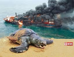 එක්ස්ප්රස් පර්ල් පෙත්සම් විභාගය ලබන සිකුරාදා දක්වා කල්යයි