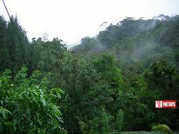 වන රක්ෂිත ආශ්රිතව ගිනි පාලන සතියක් ආරම්භ කිරීමට පියවර