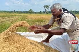 රජය වී මිලට ගන්නා මිල ගණන්