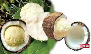 පොල් මද ආශ්රිත නිෂ්පාදන ආනයනයට කැබිනට් අනුමැතිය