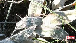 නුවරඑළියට මල්තුහීන