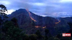 ඇල්ලේ ගින්නෙන් අක්කර 600ක් විනාශයි