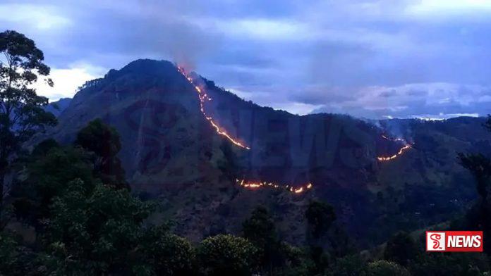 ඇල්ලේ ගින්නෙන් අක්කර 600ක් විනාශයි