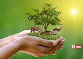 ලෝක වනජීවි දිනය අදයි