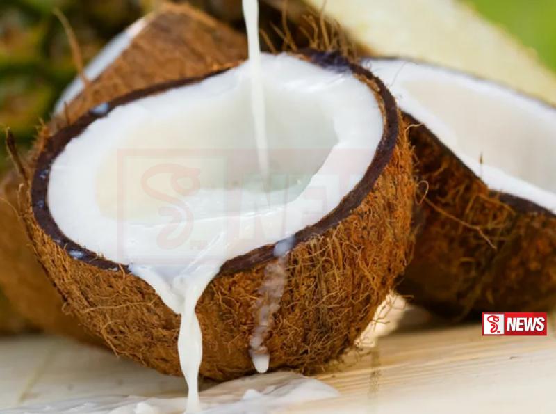 ආනයනය කරන ලද පළමු පොල් කිරි තොගය රසායනාගාර පරීක්ෂාවට යොමු කෙරේ