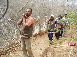 වනජීවී දෙපාර්තමේන්තුවේ නිලධාරින්ට ස්ථිර පත්වීම්