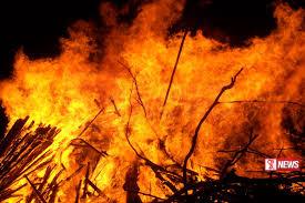 ජේරැසෙලමේ වනාන්තරයක හදිසි ගින්නක්