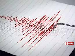 ජපානයේ දූපතක භූ කම්පනයක්