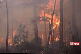 කැනඩාවේ බටහිර ප්රදේශයට හදිසි තත්ත්වයක්