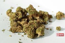 කුෂ් කිලෝ 7ක් සමග ගුවන් මගියෙකු කොටුවෙයි.