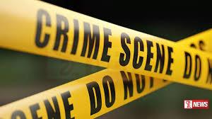 මෝල් ගස් පහරින් තරුණයෙක් මරුට