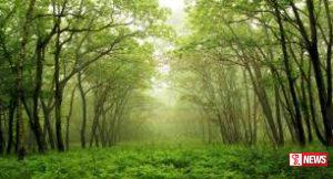 පරිසර සතියක් ප්රකාශයට පත් කෙරේ